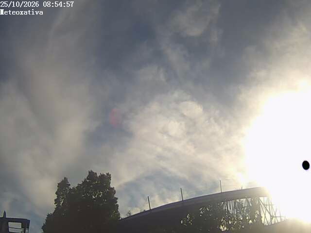 Webcam